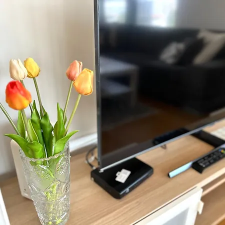 Daire 3 Apartment, Terrace, New Building, Old